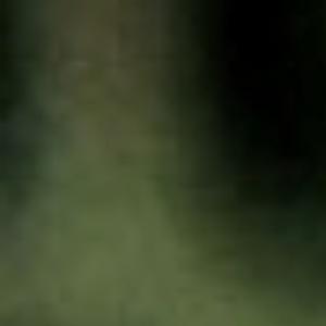 M-N Caron ''Coeur de fleur''